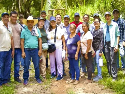 Seis familias de Yondó protegen abejas nativas con proyecto de meliponicultura sostenible