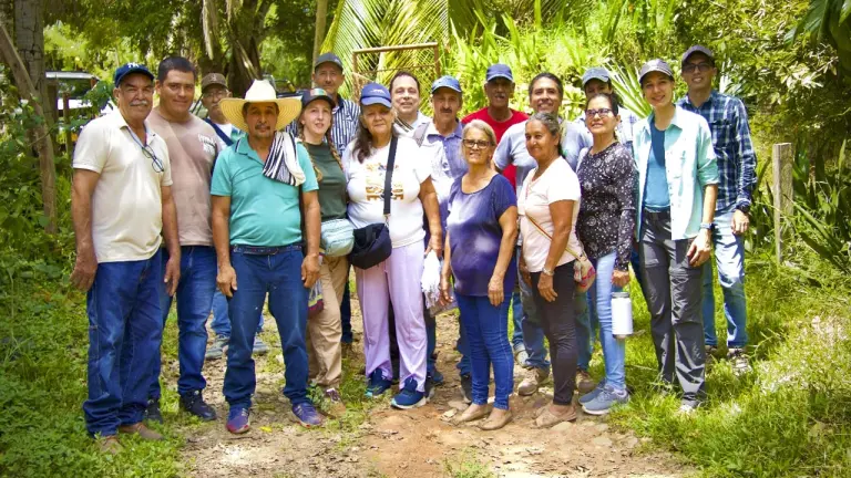 Seis familias de Yondó protegen abejas nativas con proyecto de meliponicultura sostenible